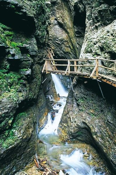https://mdw-travel-data-us-east-1.s3.amazonaws.com/img/country/Austria/Erlebniswelt-Raggaschlucht/img_02.jpg