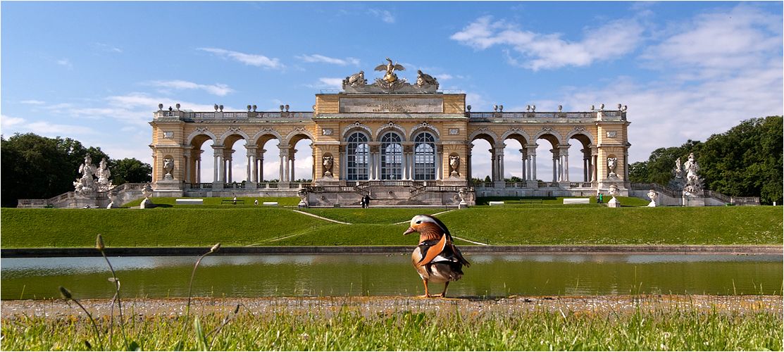 https://mdw-travel-data-us-east-1.s3.amazonaws.com/img/country/Austria/Gloriette/img_03.jpg