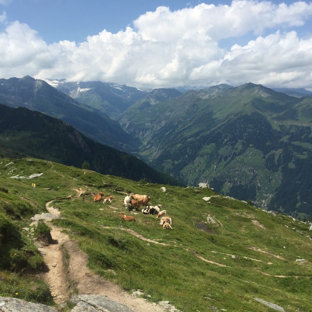 https://mdw-travel-data-us-east-1.s3.amazonaws.com/img/country/Austria/Graukogel/img_02.jpg
