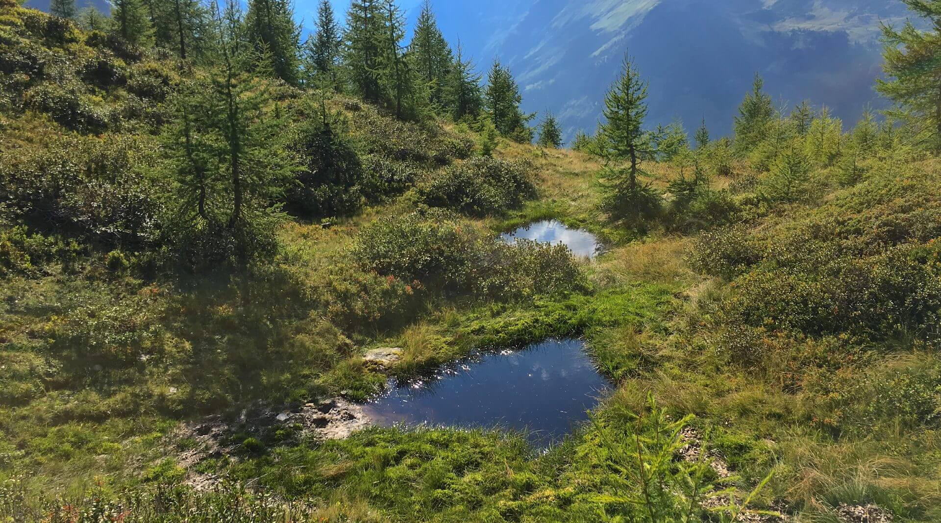https://mdw-travel-data-us-east-1.s3.amazonaws.com/img/country/Austria/Graukogel/img_03.jpg