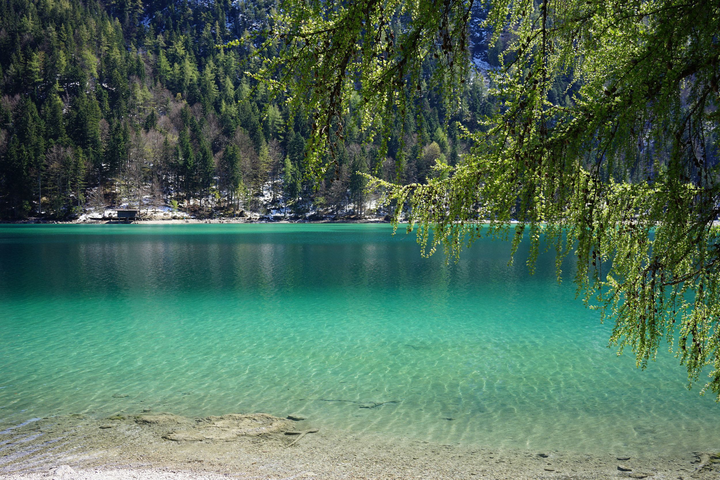 https://mdw-travel-data-us-east-1.s3.amazonaws.com/img/country/Austria/Hintersteiner-See/img_03.jpg