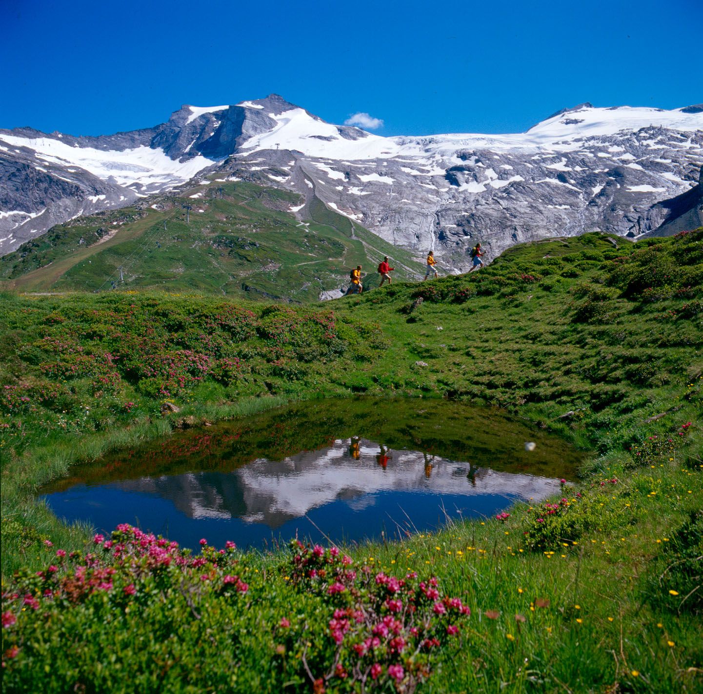 https://mdw-travel-data-us-east-1.s3.amazonaws.com/img/country/Austria/Hintertux-Glacier/img_01.jpg