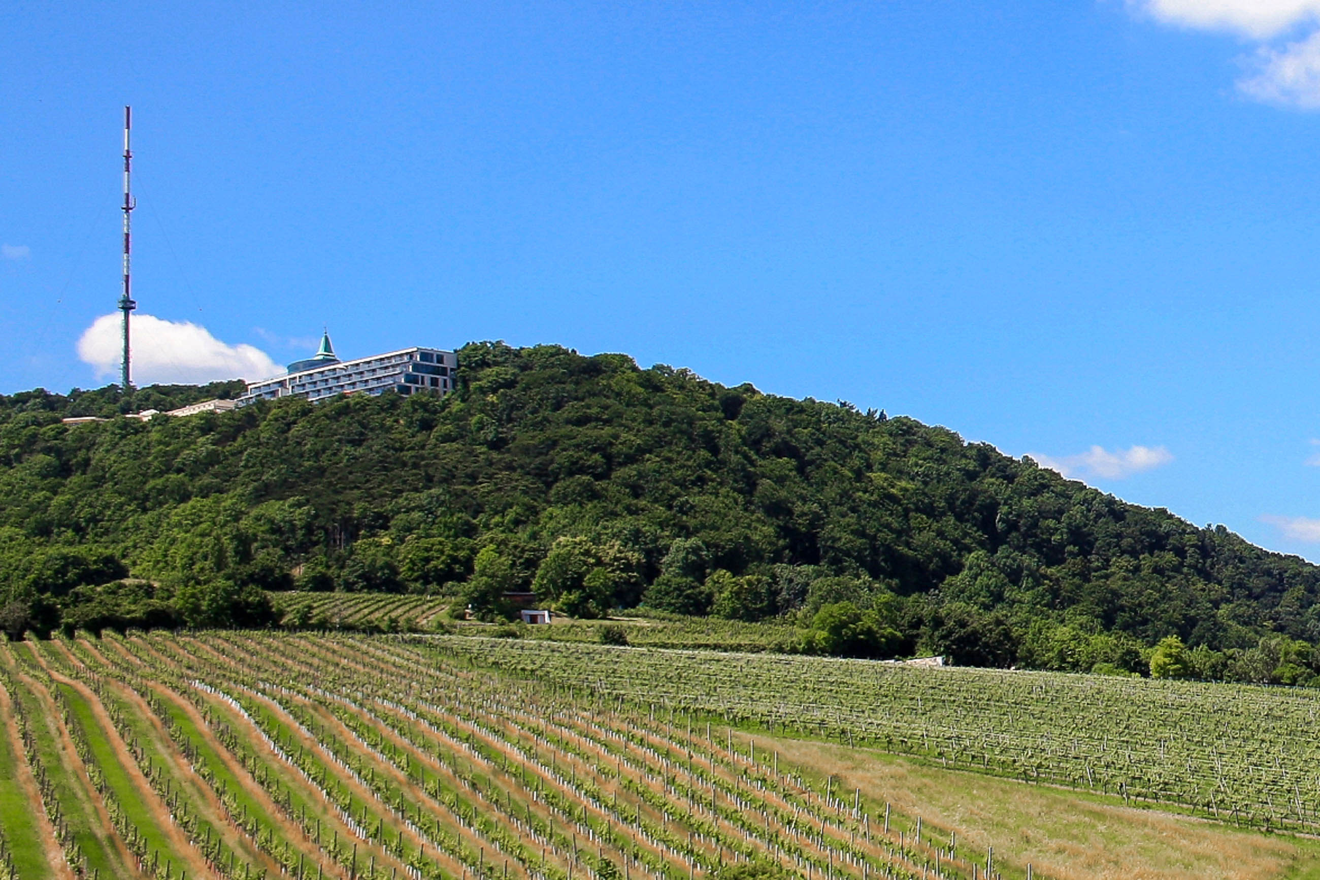 https://mdw-travel-data-us-east-1.s3.amazonaws.com/img/country/Austria/Kahlenberg/img_01.jpg