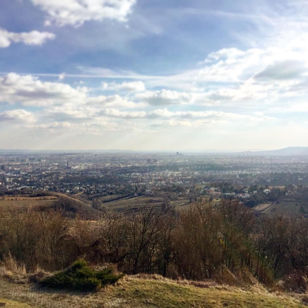 https://mdw-travel-data-us-east-1.s3.amazonaws.com/img/country/Austria/Kahlenberg/img_02.jpg