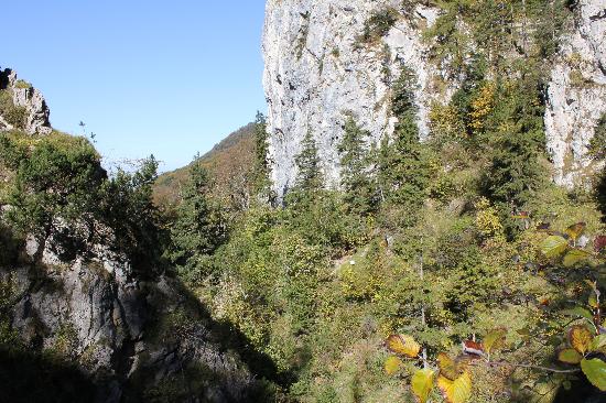https://mdw-travel-data-us-east-1.s3.amazonaws.com/img/country/Austria/Kaltenbachwildnis/img_02.jpg