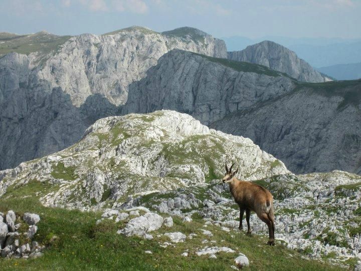 https://mdw-travel-data-us-east-1.s3.amazonaws.com/img/country/Austria/KraftWanderWeg/img_01.jpg