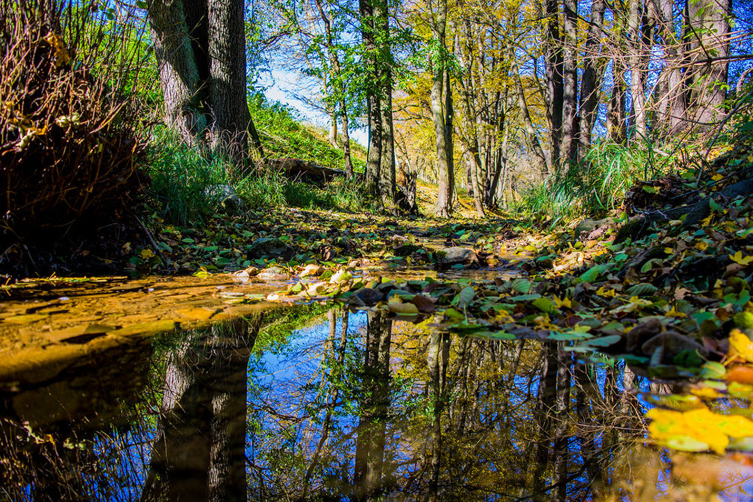 https://mdw-travel-data-us-east-1.s3.amazonaws.com/img/country/Austria/Lainzer-Tiergarten/img_03.jpg