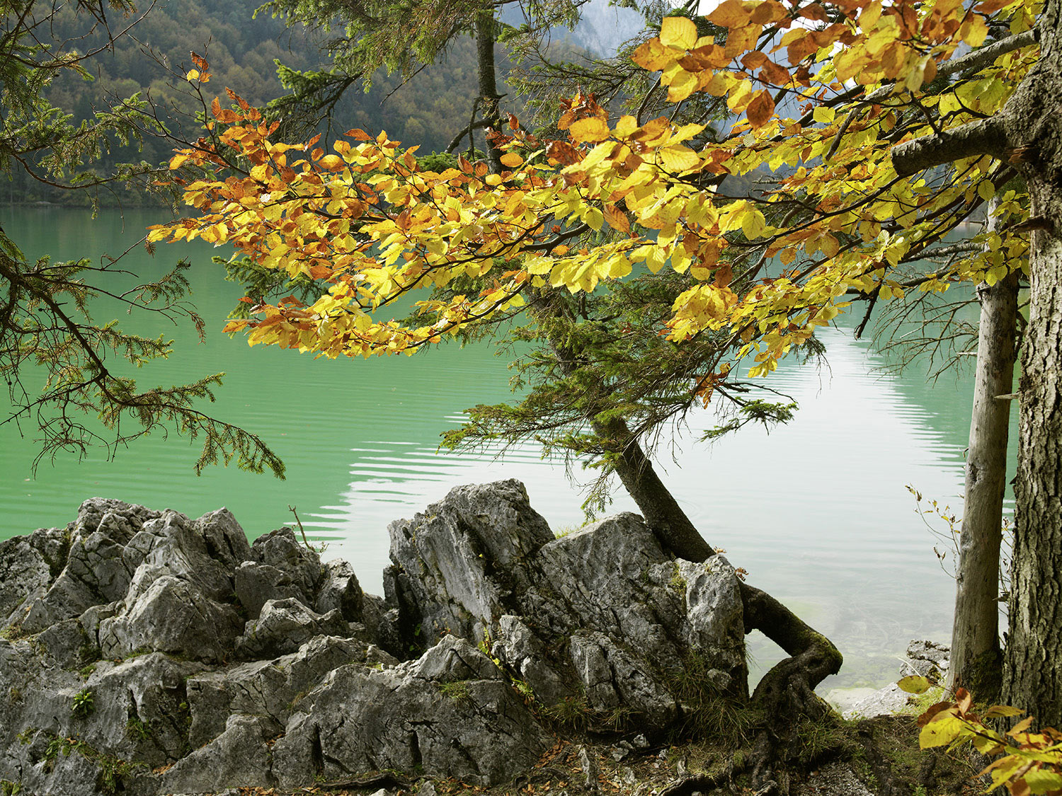https://mdw-travel-data-us-east-1.s3.amazonaws.com/img/country/Austria/Leopoldsteinersee/img_01.jpg