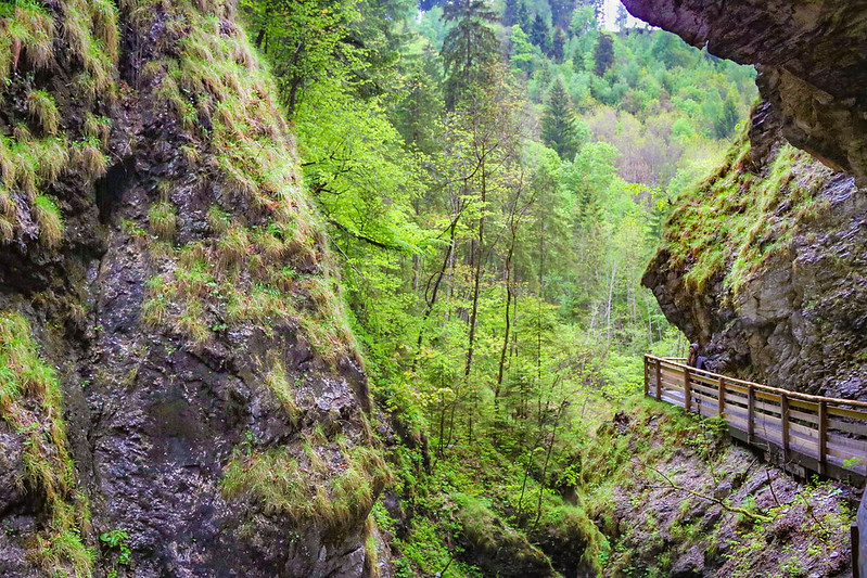 https://mdw-travel-data-us-east-1.s3.amazonaws.com/img/country/Austria/Liechtensteinklamm-Gorge/img_02.jpg