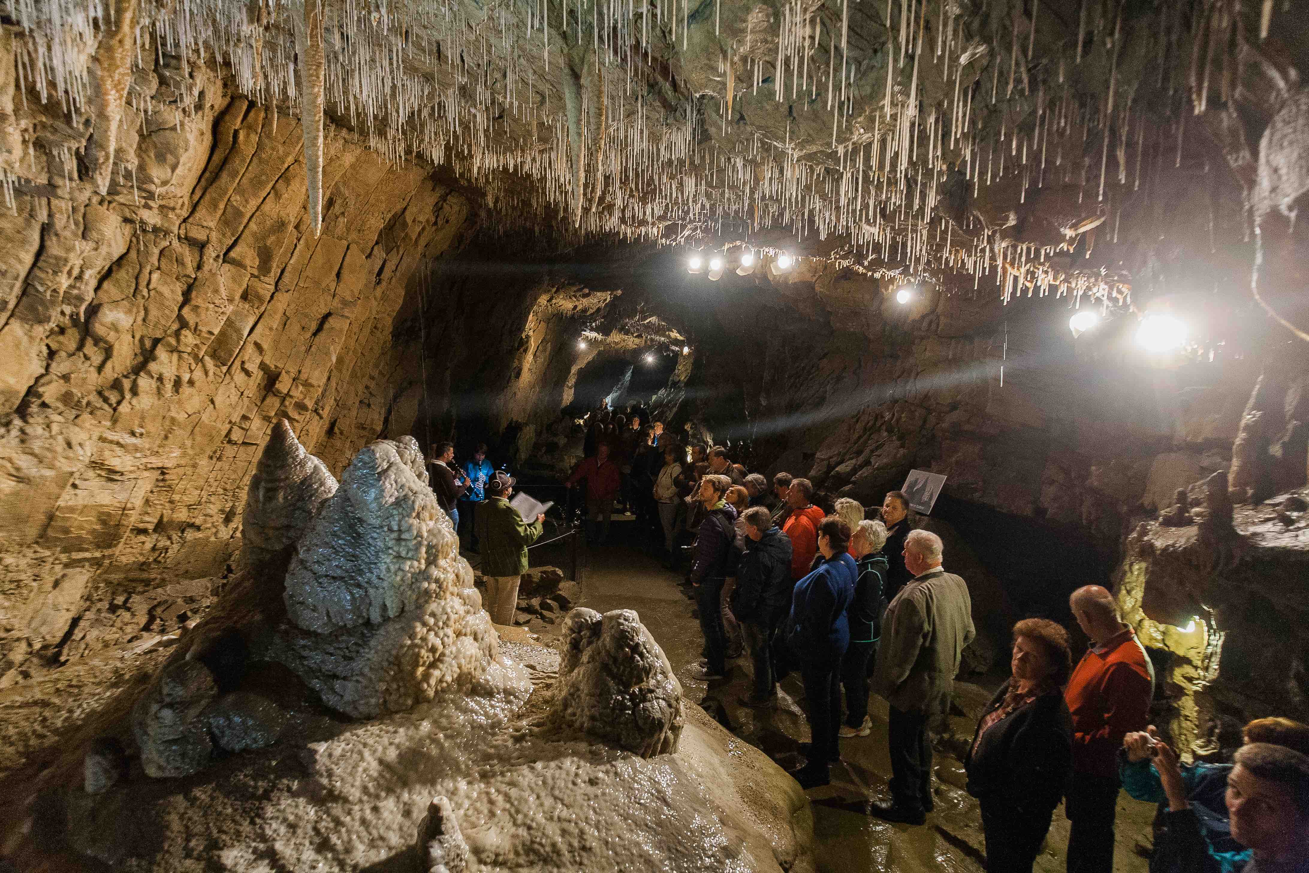 https://mdw-travel-data-us-east-1.s3.amazonaws.com/img/country/Austria/Lurgrotte-Peggau/img_01.jpg