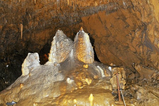 https://mdw-travel-data-us-east-1.s3.amazonaws.com/img/country/Austria/Lurgrotte-Peggau/img_05.jpg