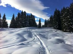 https://mdw-travel-data-us-east-1.s3.amazonaws.com/img/country/Austria/Museumsbahnen-Schruns-Tschagguns/img_04.jpg