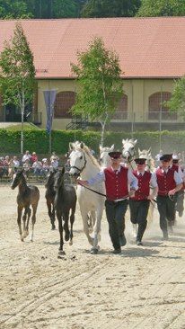 https://mdw-travel-data-us-east-1.s3.amazonaws.com/img/country/Austria/Piber-Stud-Farm/img_01.jpg