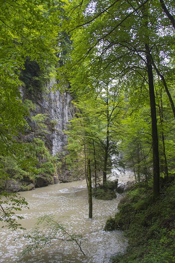https://mdw-travel-data-us-east-1.s3.amazonaws.com/img/country/Austria/Rappenlochschlucht/img_02.jpg