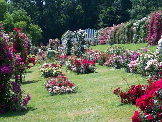 https://mdw-travel-data-us-east-1.s3.amazonaws.com/img/country/Austria/Rosarium/img_02.jpg