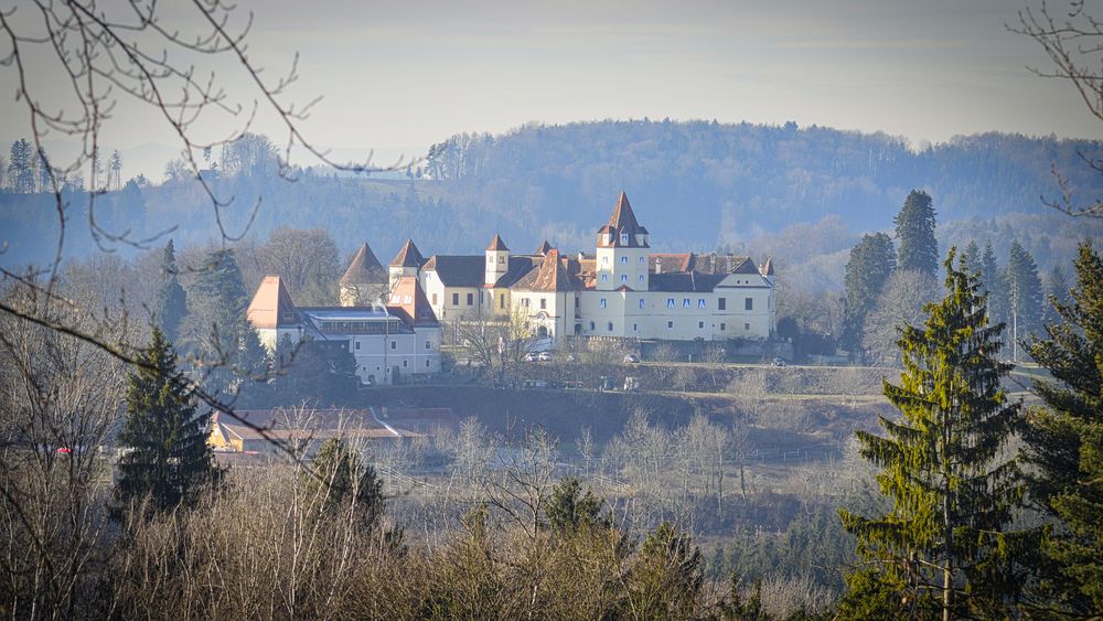 https://mdw-travel-data-us-east-1.s3.amazonaws.com/img/country/Austria/Schloss-Kornberg/img_05.jpg