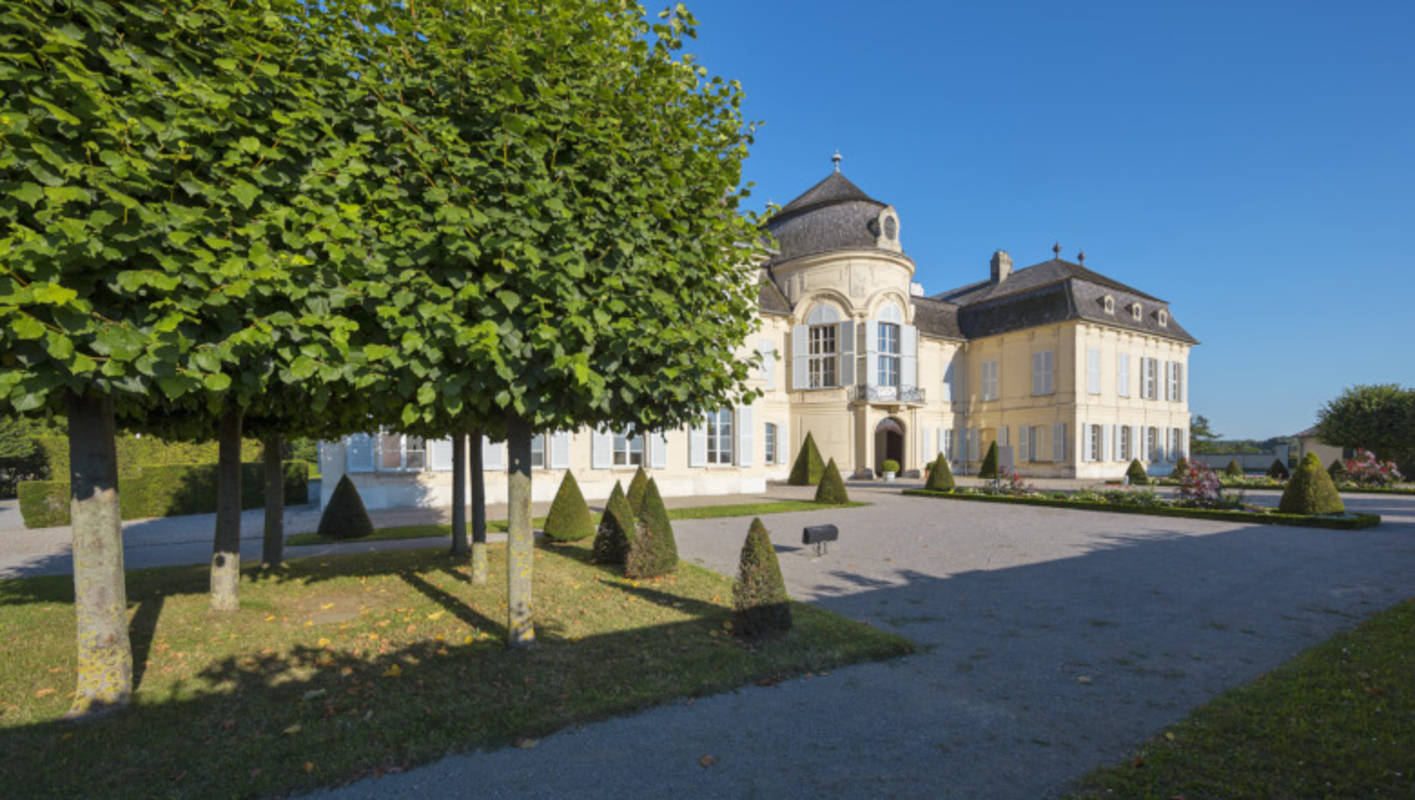 https://mdw-travel-data-us-east-1.s3.amazonaws.com/img/country/Austria/Schloss-Niederweiden/img_03.jpg