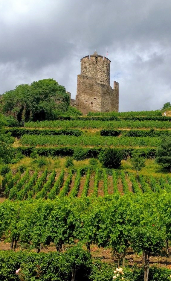 https://mdw-travel-data-us-east-1.s3.amazonaws.com/img/country/Austria/Schlossberg/img_04.jpg