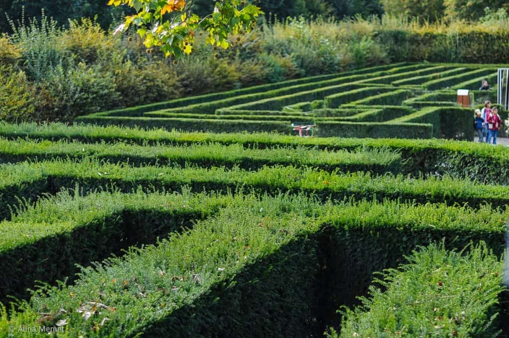 https://mdw-travel-data-us-east-1.s3.amazonaws.com/img/country/Austria/Schonbrunn-Maze/img_02.jpg