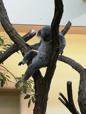 https://mdw-travel-data-us-east-1.s3.amazonaws.com/img/country/Austria/Schonbrunn-Zoo/img_03.jpg