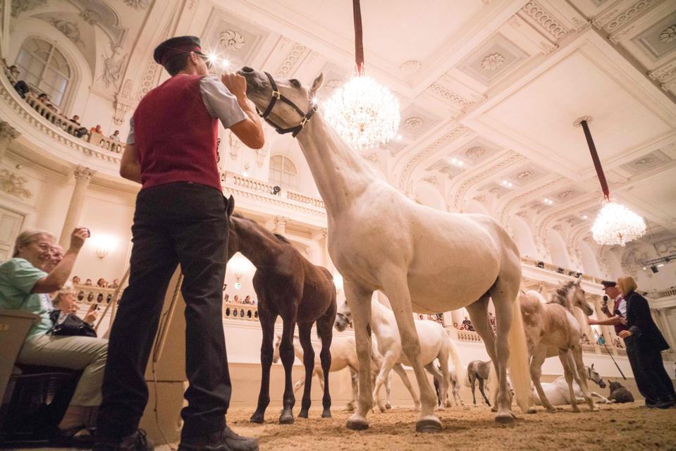 https://mdw-travel-data-us-east-1.s3.amazonaws.com/img/country/Austria/Spanish-Riding-School/img_05.jpg