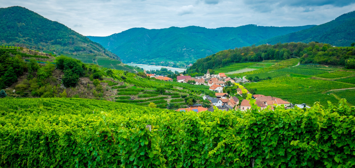 https://mdw-travel-data-us-east-1.s3.amazonaws.com/img/country/Austria/Spitz/img_00.jpg