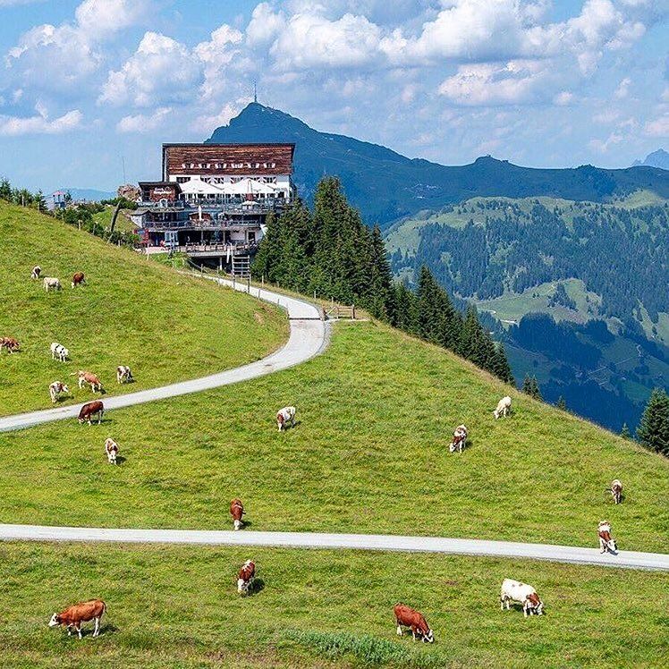 https://mdw-travel-data-us-east-1.s3.amazonaws.com/img/country/Austria/Sport-Camp-Tirol/img_02.jpg