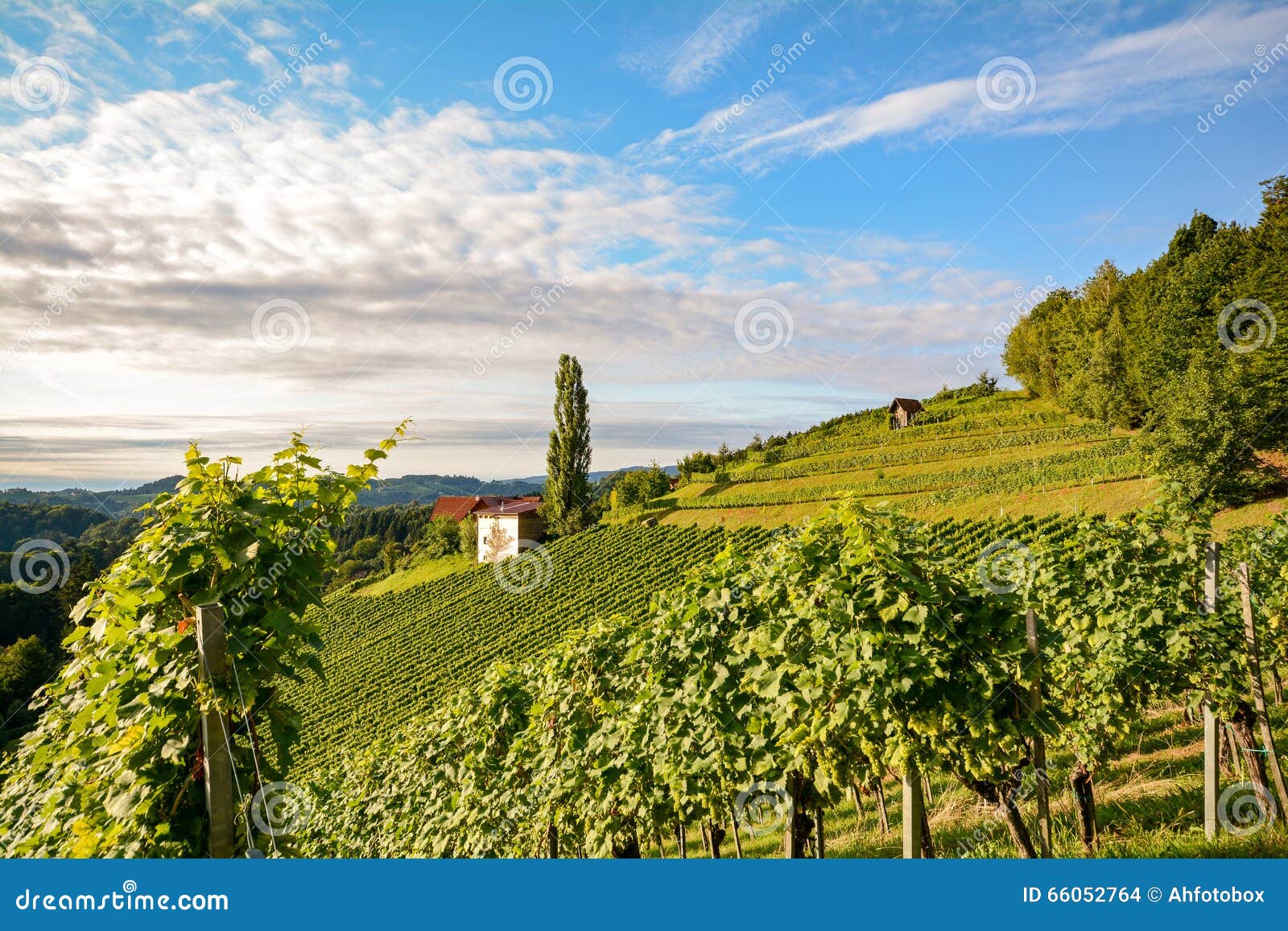 https://mdw-travel-data-us-east-1.s3.amazonaws.com/img/country/Austria/Styrian-Wine-Road/img_02.jpg