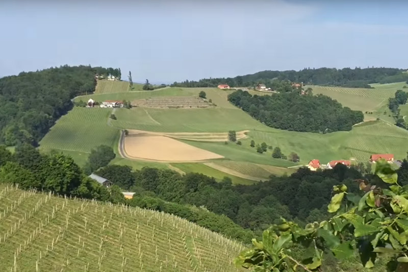 https://mdw-travel-data-us-east-1.s3.amazonaws.com/img/country/Austria/Styrian-Wine-Road/img_05.jpg