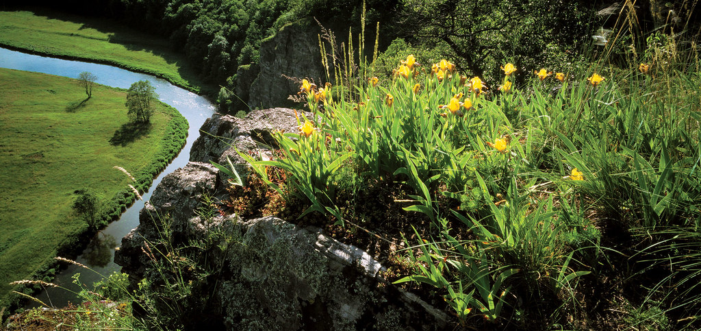 https://mdw-travel-data-us-east-1.s3.amazonaws.com/img/country/Austria/Thayatal-National-Park/img_05.jpg