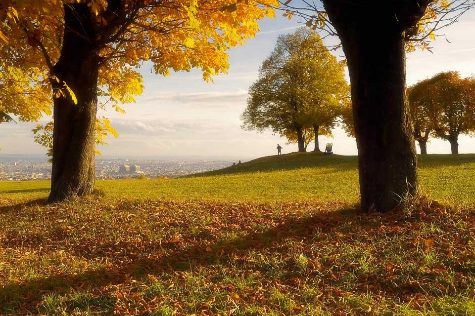 https://mdw-travel-data-us-east-1.s3.amazonaws.com/img/country/Austria/Wienerwald/img_03.jpg