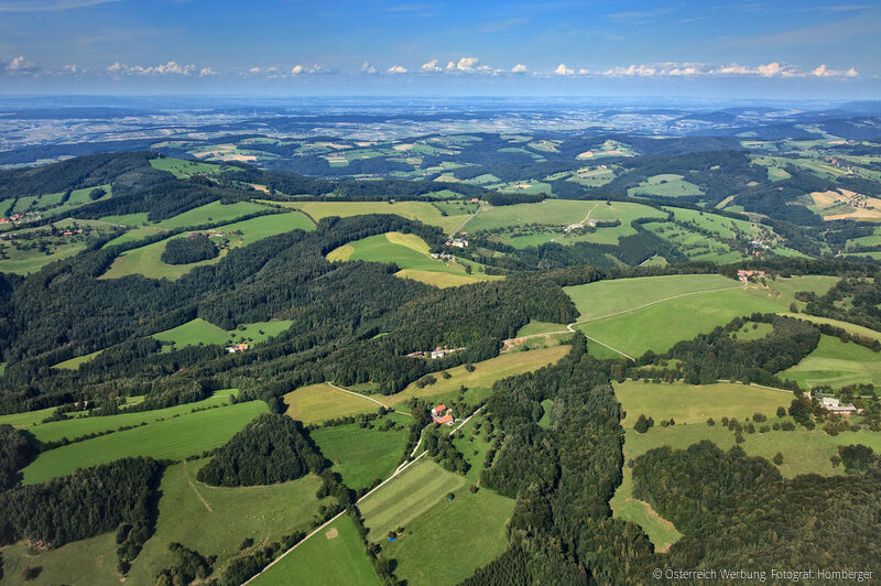 https://mdw-travel-data-us-east-1.s3.amazonaws.com/img/country/Austria/Wienerwald/img_04.jpg