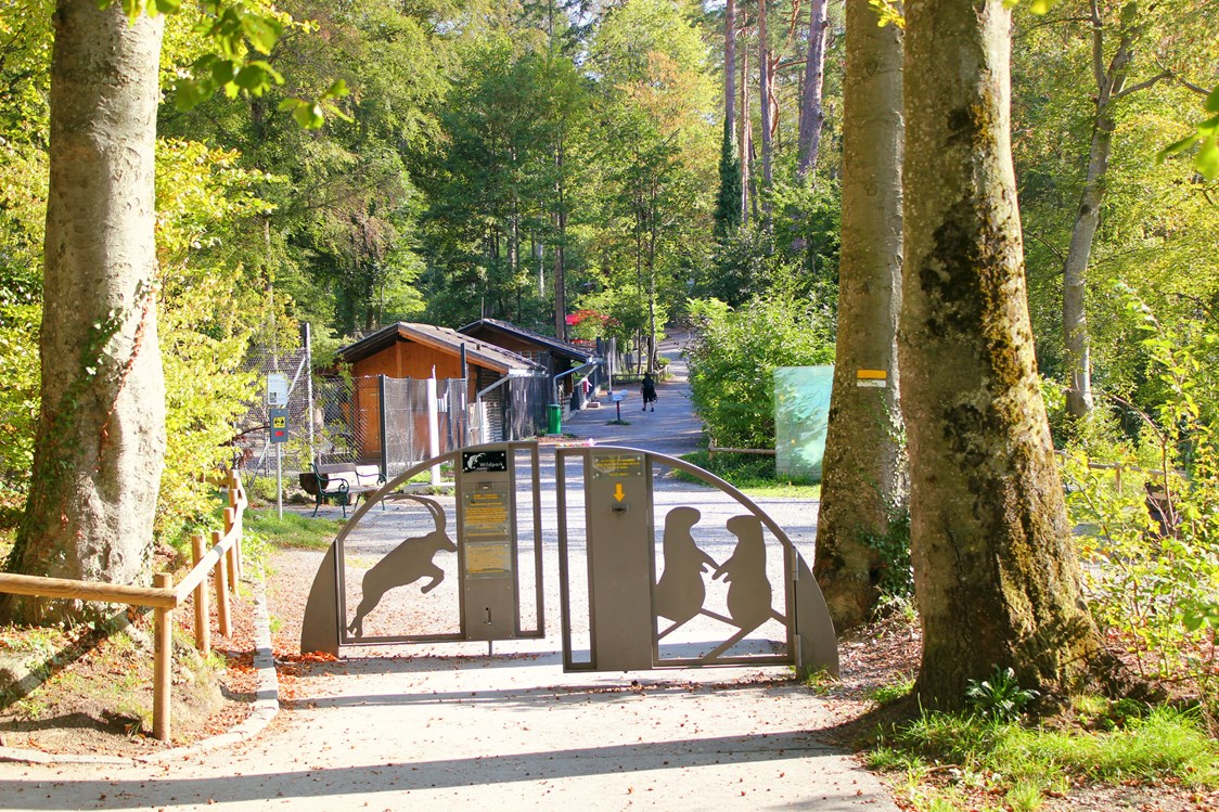 https://mdw-travel-data-us-east-1.s3.amazonaws.com/img/country/Austria/Wildpark-Feldkirch/img_04.jpg