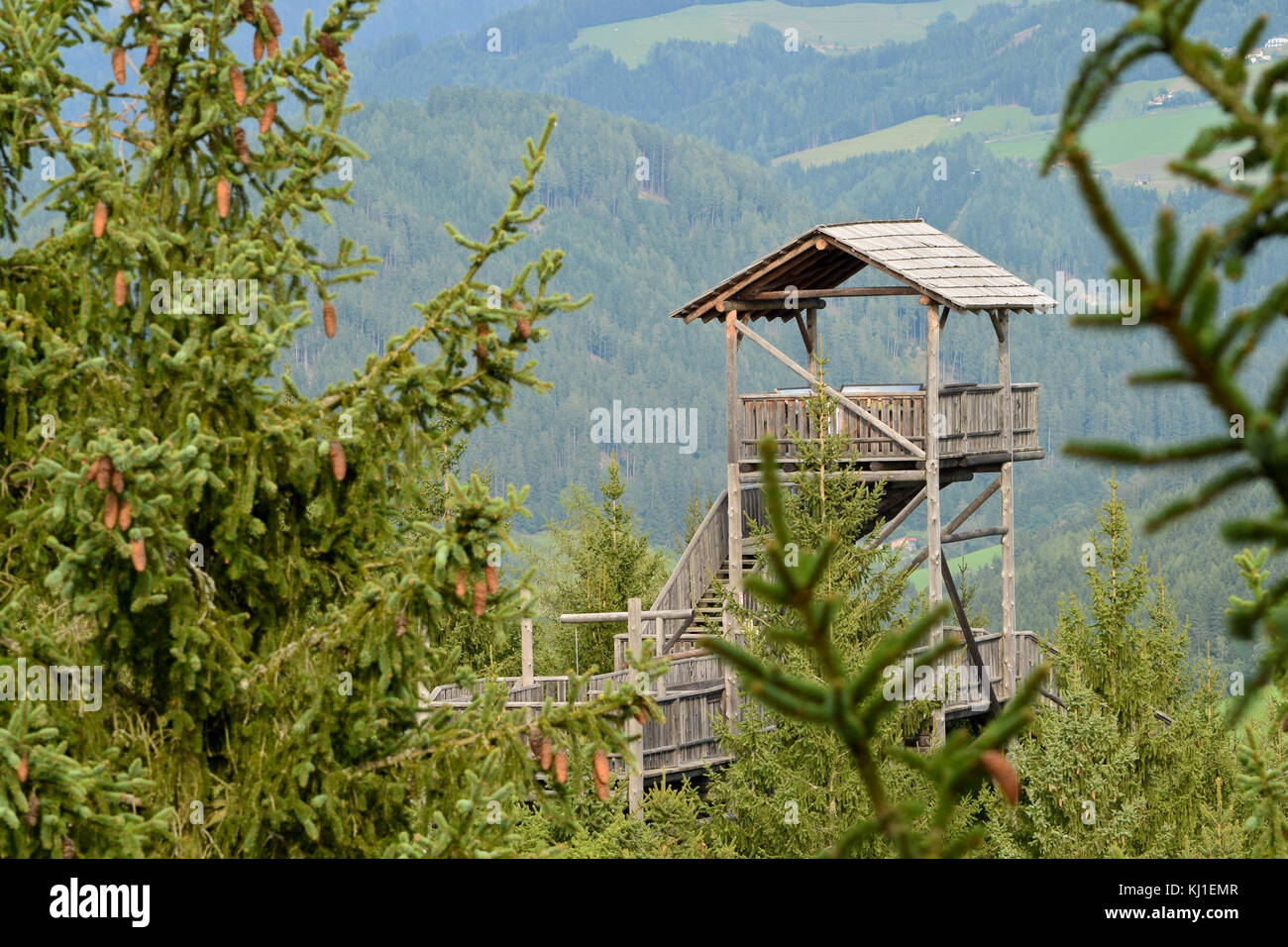 https://mdw-travel-data-us-east-1.s3.amazonaws.com/img/country/Austria/Wipfelwanderweg-Rachau/img_05.jpg