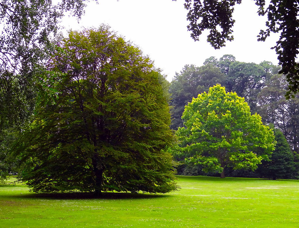 https://mdw-travel-data-us-east-1.s3.amazonaws.com/img/country/Belgium/Botanic-Garden-Meise/img_00.jpg