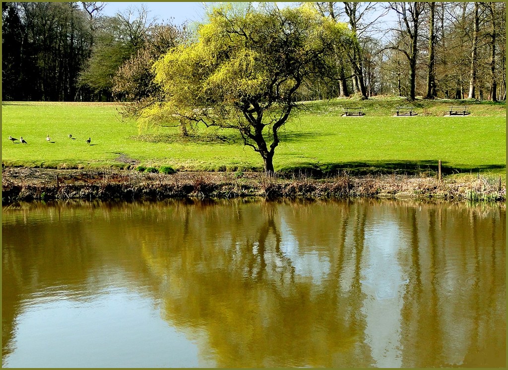 https://mdw-travel-data-us-east-1.s3.amazonaws.com/img/country/Belgium/Botanic-Garden-Meise/img_01.jpg