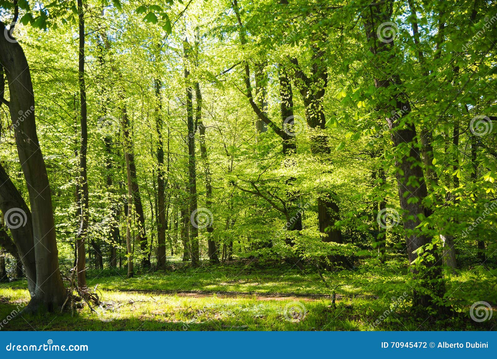 https://mdw-travel-data-us-east-1.s3.amazonaws.com/img/country/Belgium/Botanic-Garden-Meise/img_02.jpg