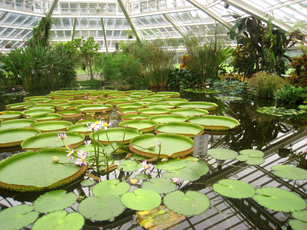 https://mdw-travel-data-us-east-1.s3.amazonaws.com/img/country/Belgium/Botanic-Garden-Meise/img_03.jpg