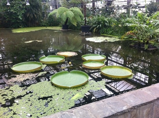 https://mdw-travel-data-us-east-1.s3.amazonaws.com/img/country/Belgium/Ghent-University-Botanical-Garden/img_01.jpg