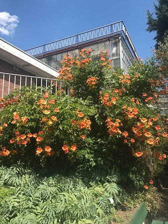https://mdw-travel-data-us-east-1.s3.amazonaws.com/img/country/Belgium/Ghent-University-Botanical-Garden/img_02.jpg