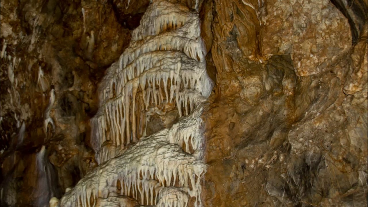 https://mdw-travel-data-us-east-1.s3.amazonaws.com/img/country/Belgium/Grotte-la-Merveilleuse/img_03.jpg