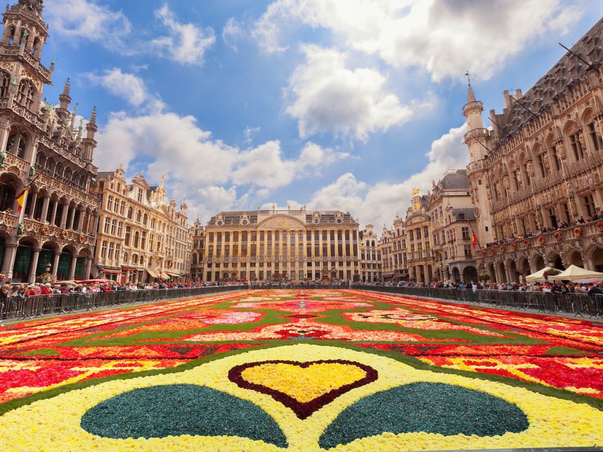 https://mdw-travel-data-us-east-1.s3.amazonaws.com/img/country/Belgium/HippoWar/img_03.jpg