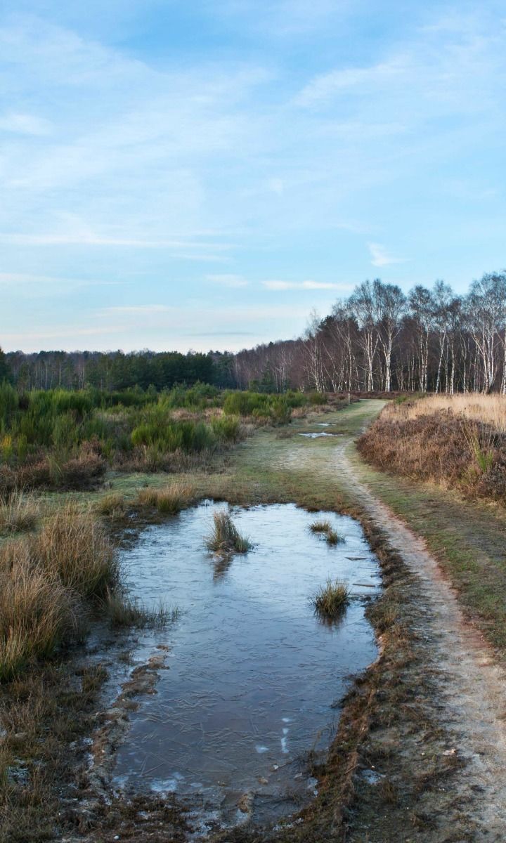 https://mdw-travel-data-us-east-1.s3.amazonaws.com/img/country/Belgium/Hoge-Kempen-National-Park/img_02.jpg