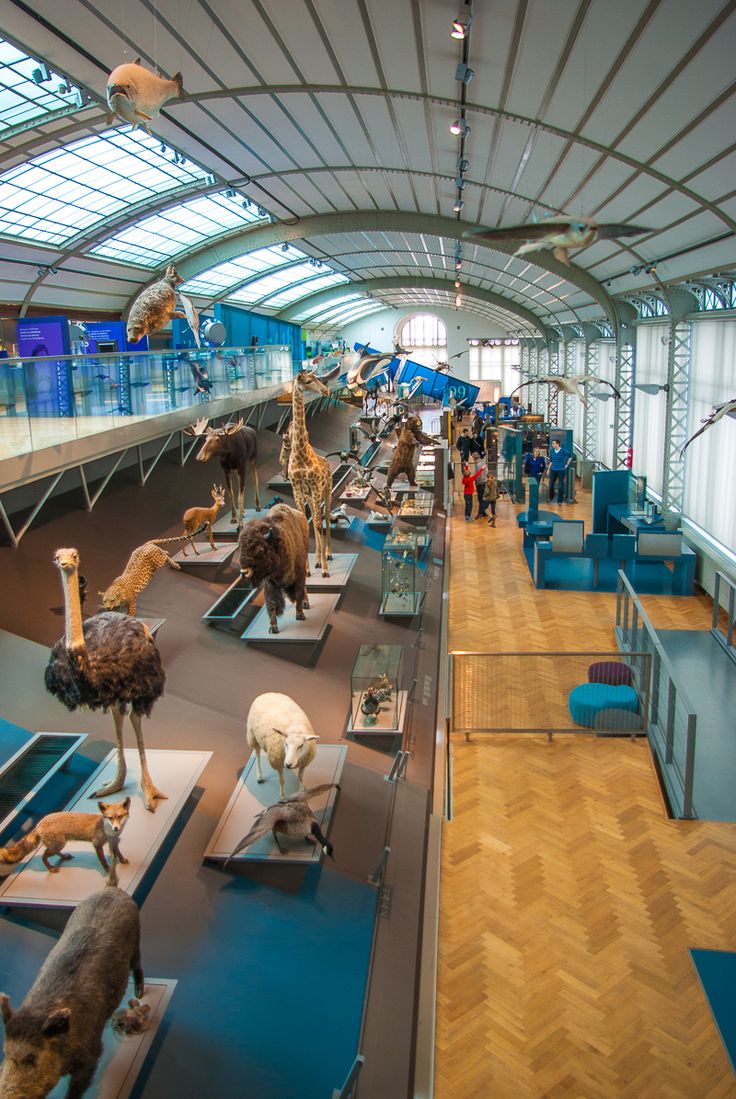https://mdw-travel-data-us-east-1.s3.amazonaws.com/img/country/Belgium/Museum-of-Natural-Sciences/img_00.jpg