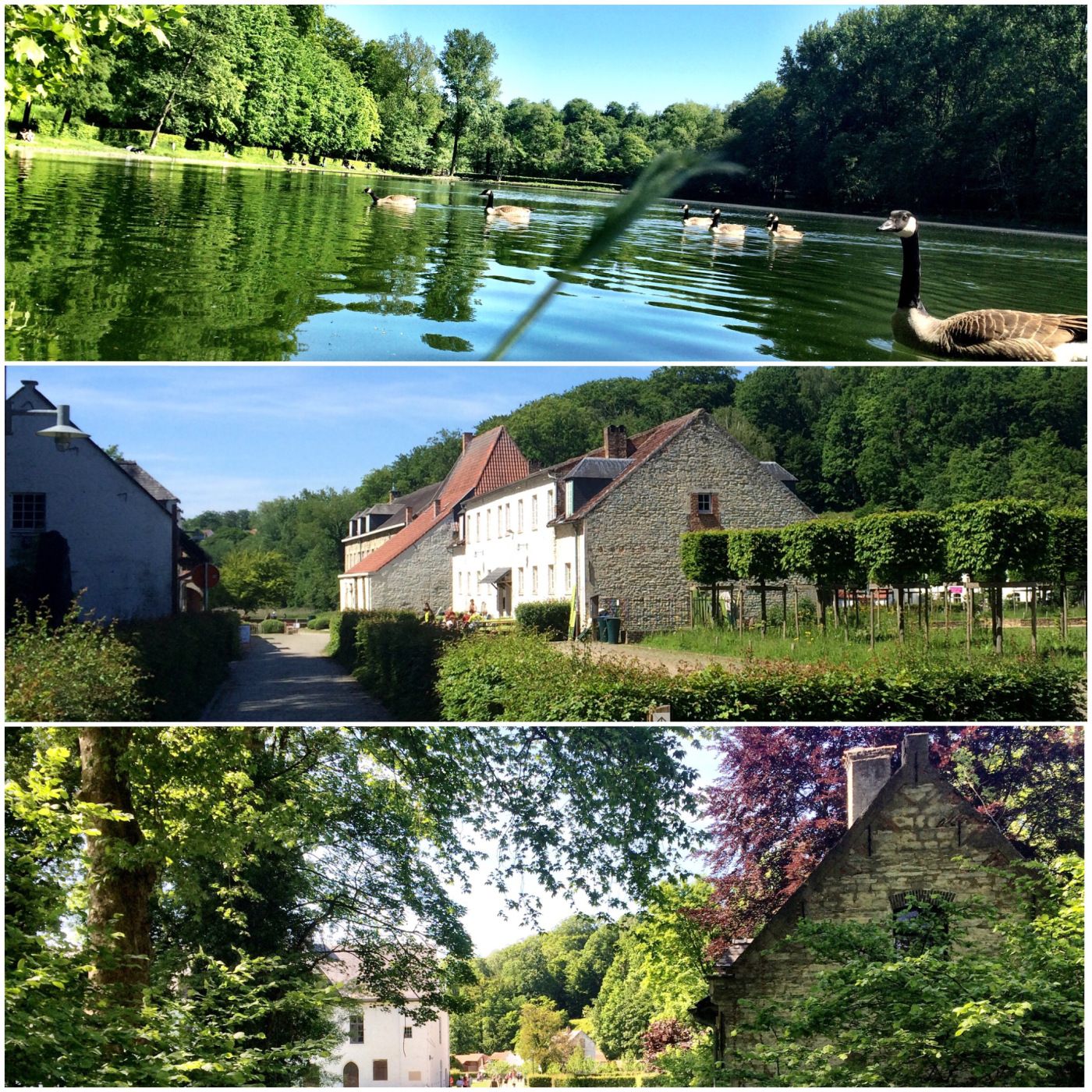 https://mdw-travel-data-us-east-1.s3.amazonaws.com/img/country/Belgium/Rouge-Cloitre/img_00.jpg