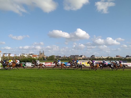 https://mdw-travel-data-us-east-1.s3.amazonaws.com/img/country/Belgium/Wellington-Racetrack/img_03.jpg