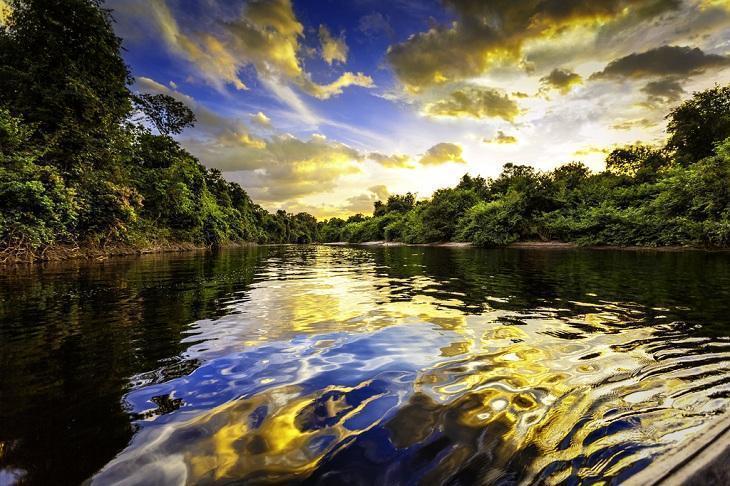 https://mdw-travel-data-us-east-1.s3.amazonaws.com/img/country/Brazil/Alta-Floresta/img_00.jpg