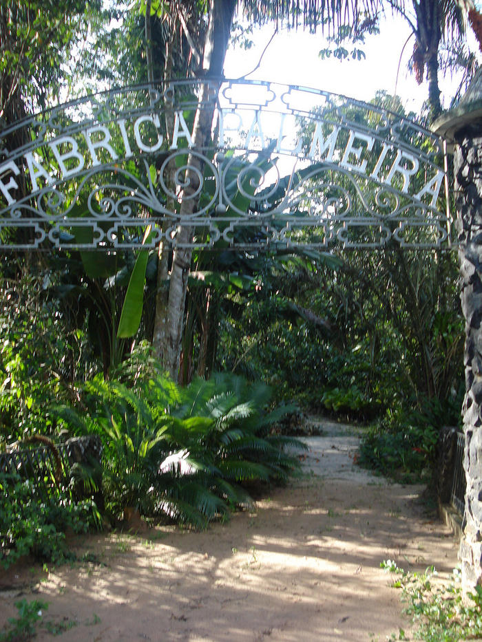 https://mdw-travel-data-us-east-1.s3.amazonaws.com/img/country/Brazil/Amazon-Biopark-Zoo/img_01.jpg