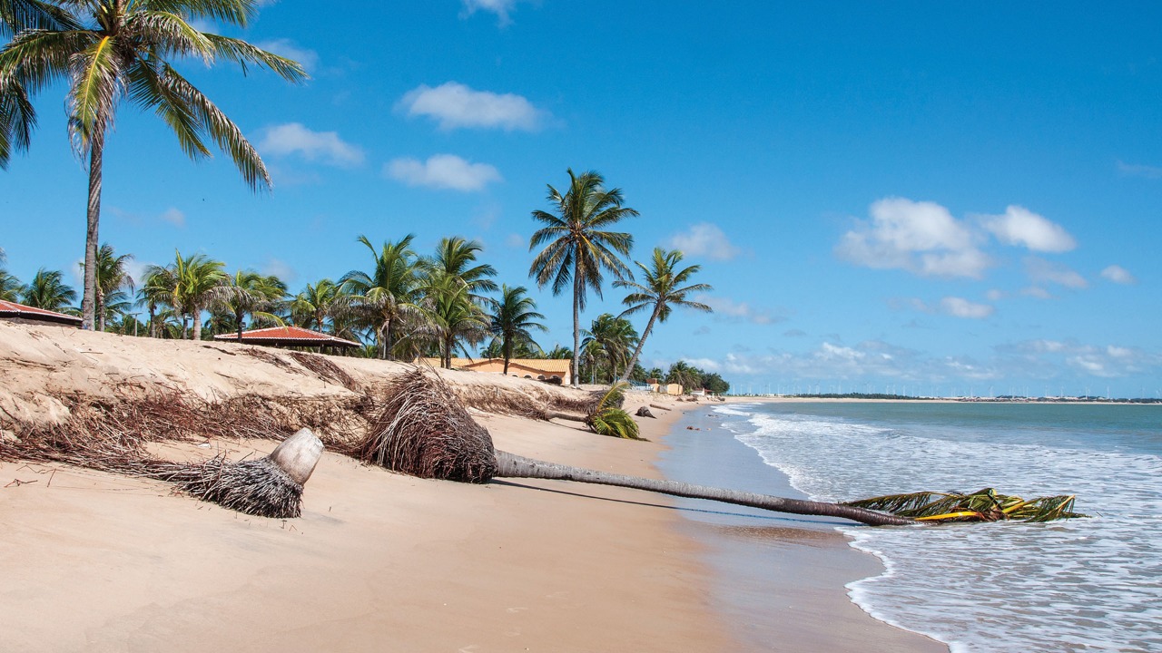 https://mdw-travel-data-us-east-1.s3.amazonaws.com/img/country/Brazil/Aquarium-Natal/img_02.jpg