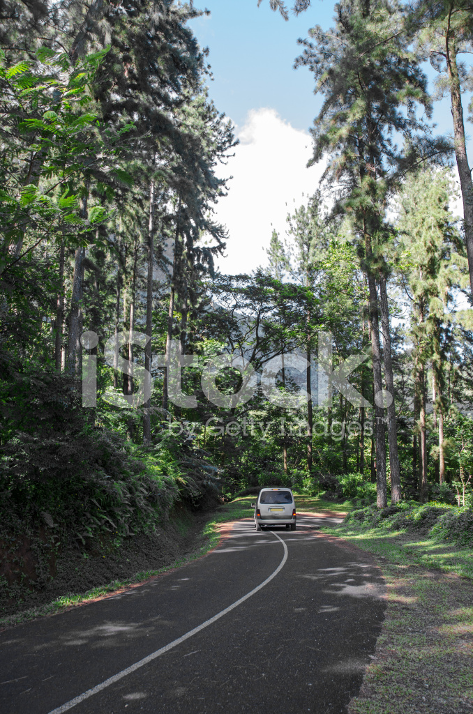 https://mdw-travel-data-us-east-1.s3.amazonaws.com/img/country/Brazil/Belvedere-Lookout/img_01.jpg